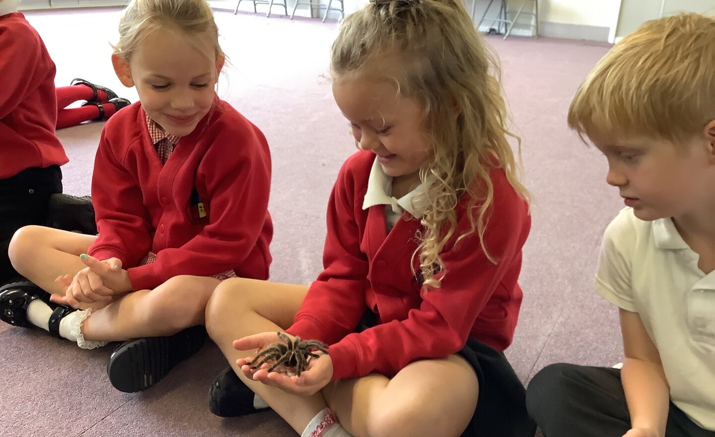 Image of Animals UK Visit 