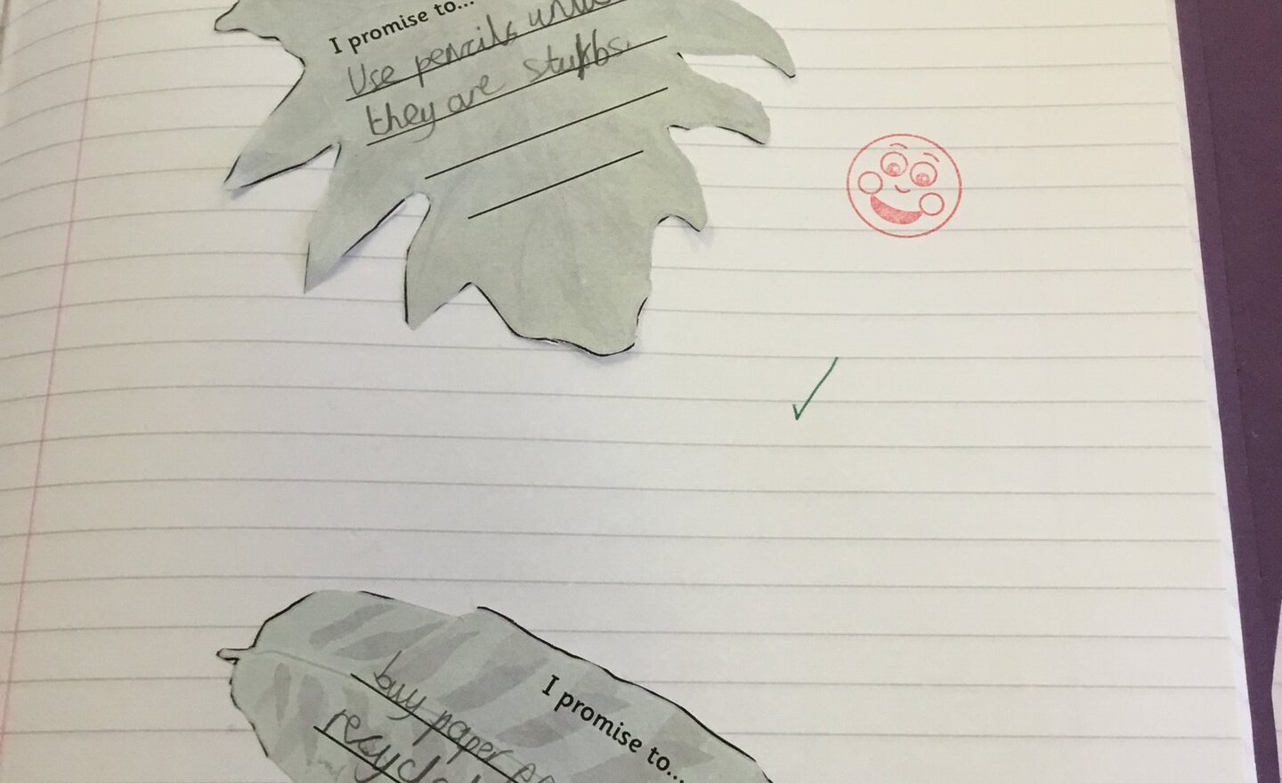 Image of What can we do to help the rainforests?