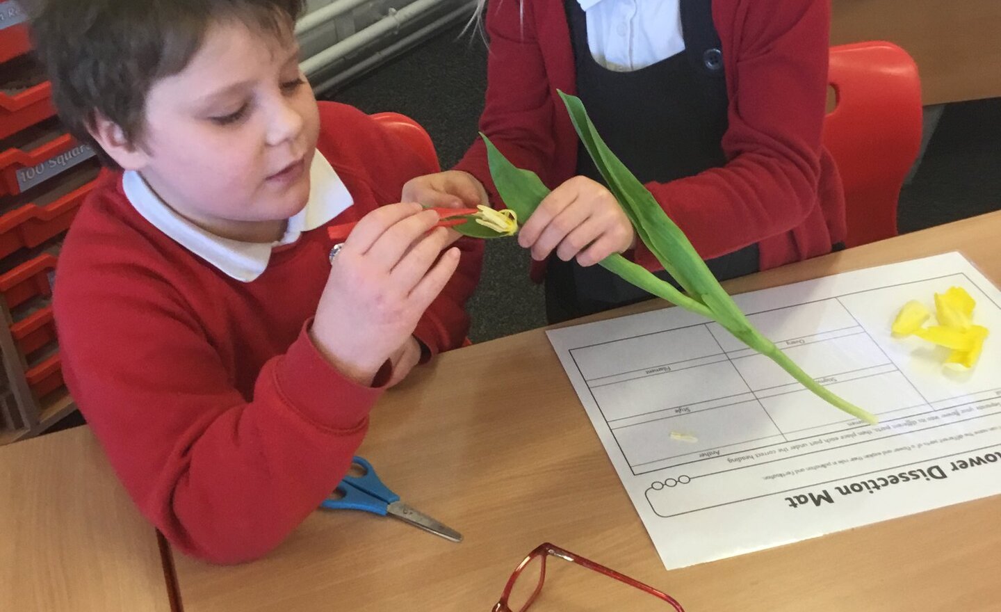 Image of Fantastic flowers!