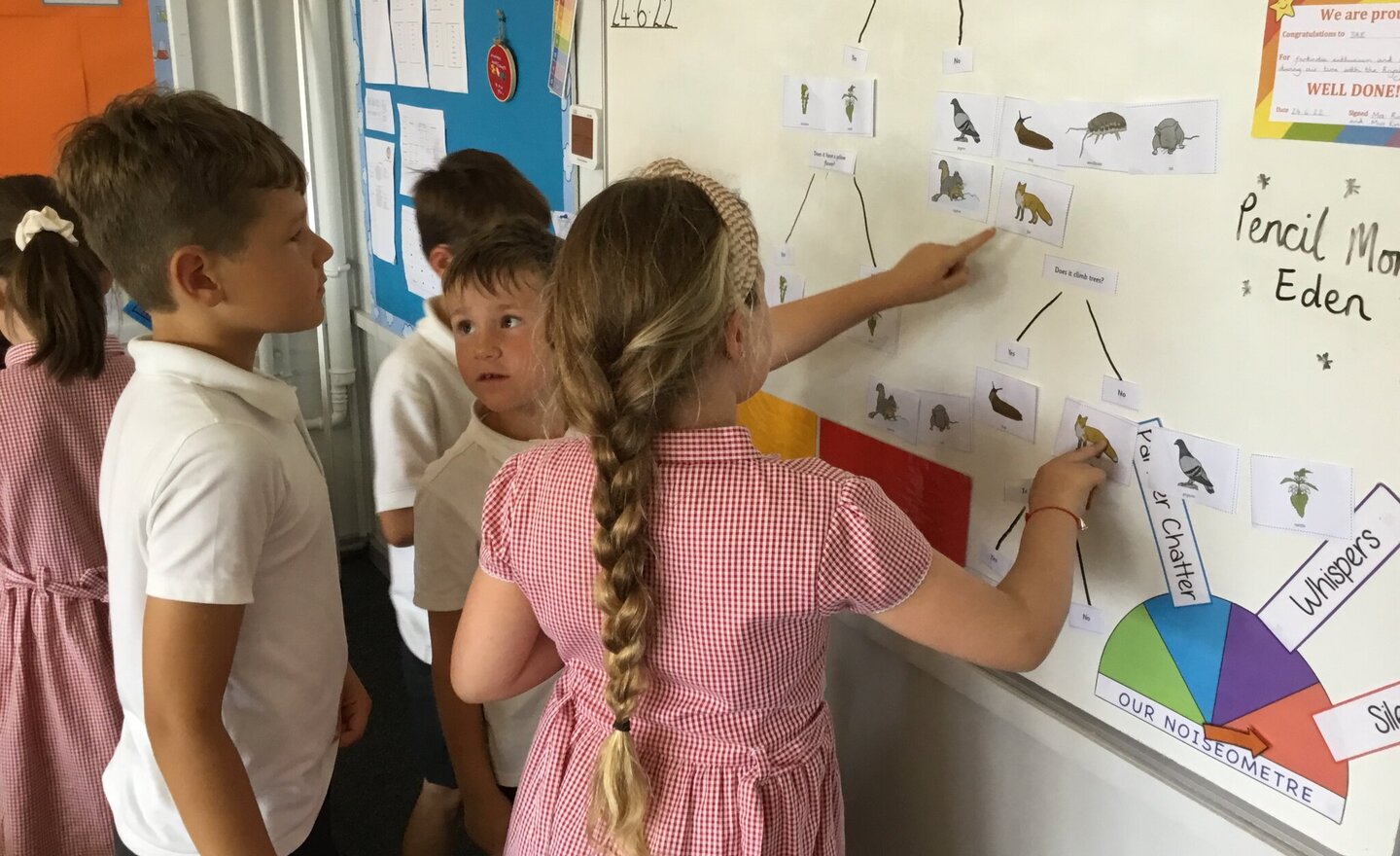 Image of Classification keys 