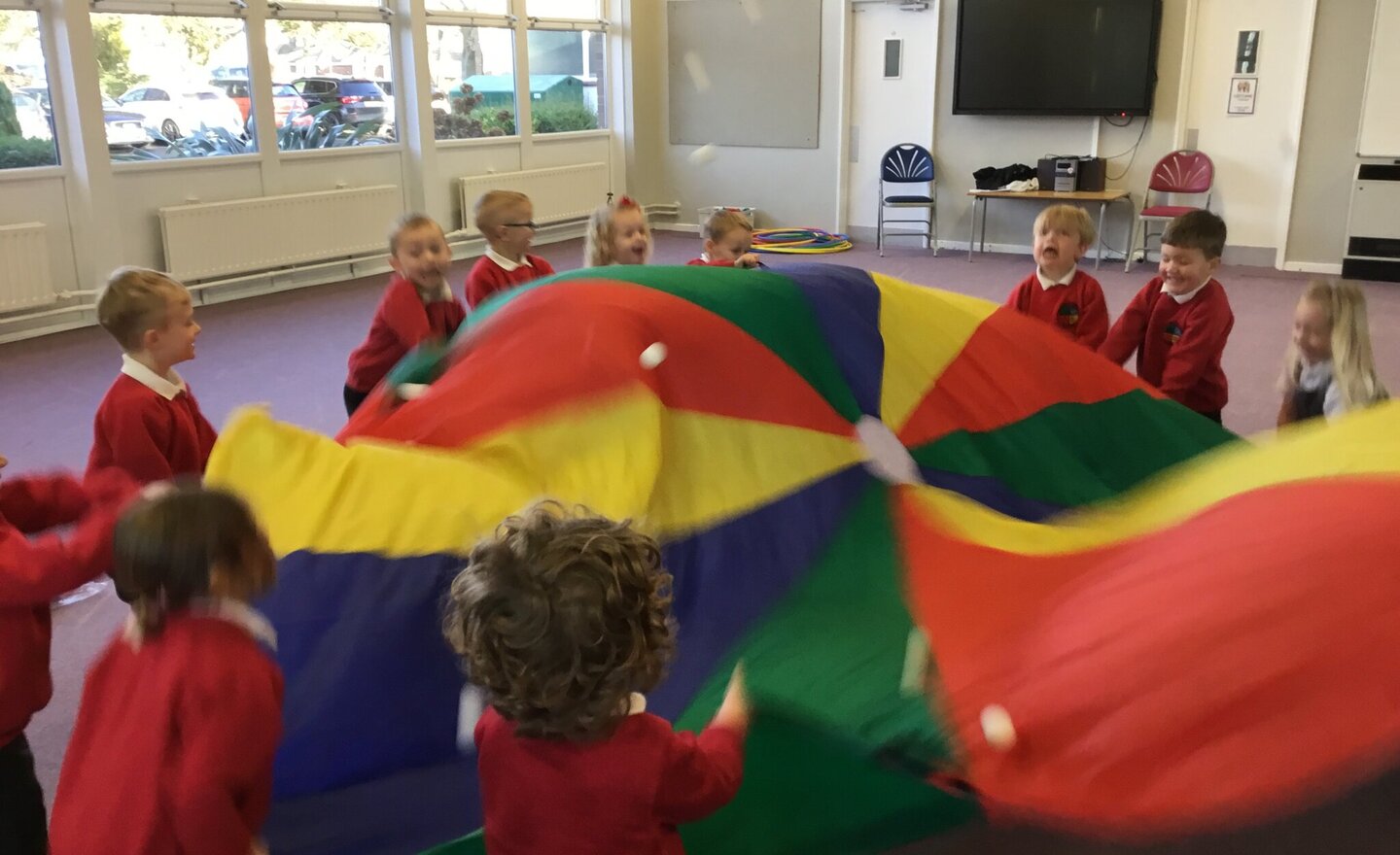 Image of We Loved the Parachute!