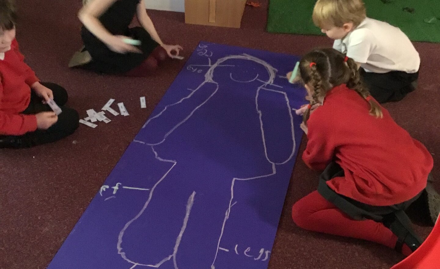 Image of Head, shoulders, knees and ...