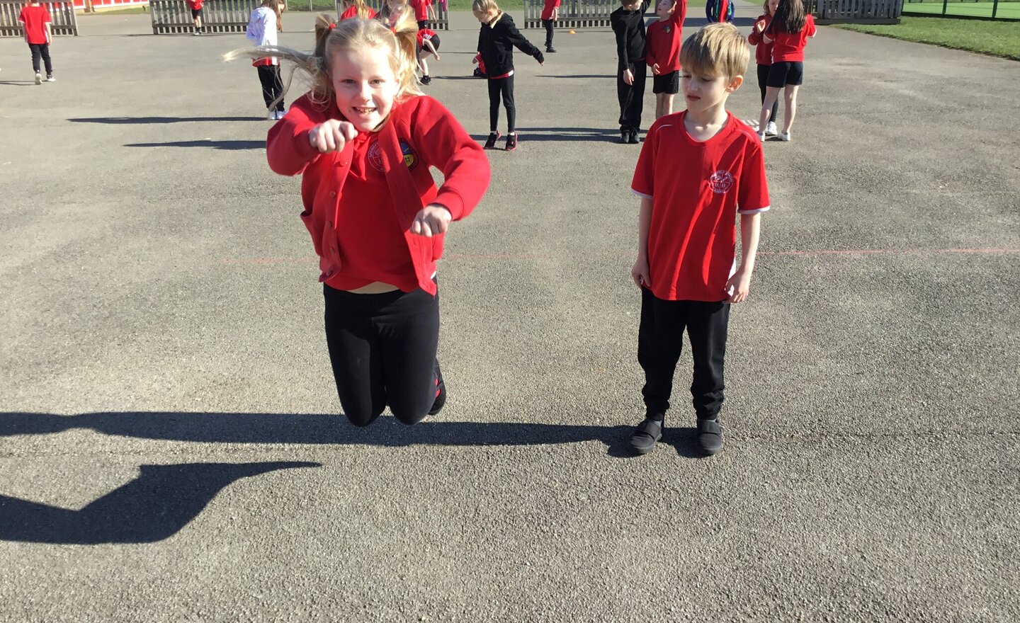 Image of Gym - flight