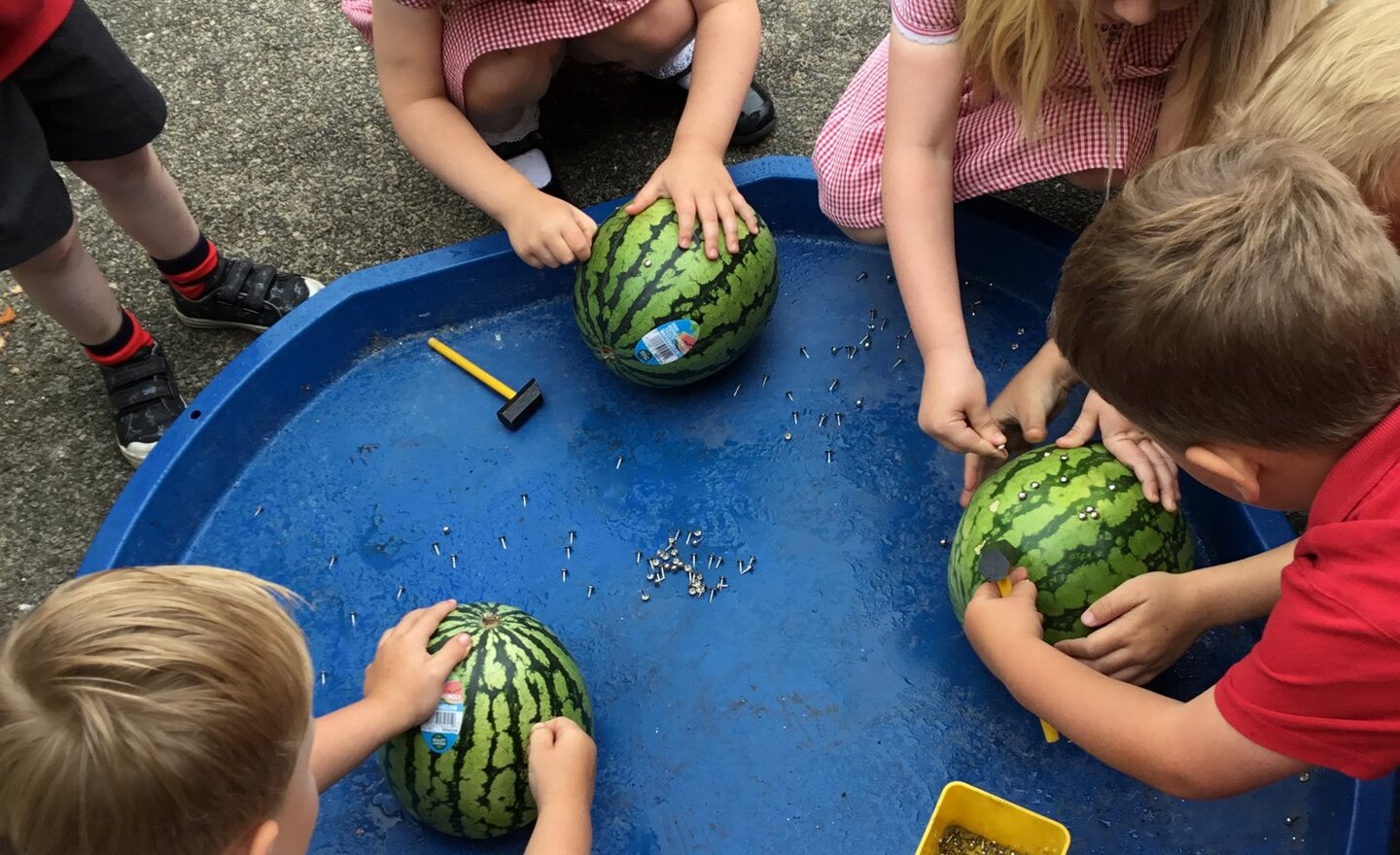 Image of Nursery-Summer themed activities