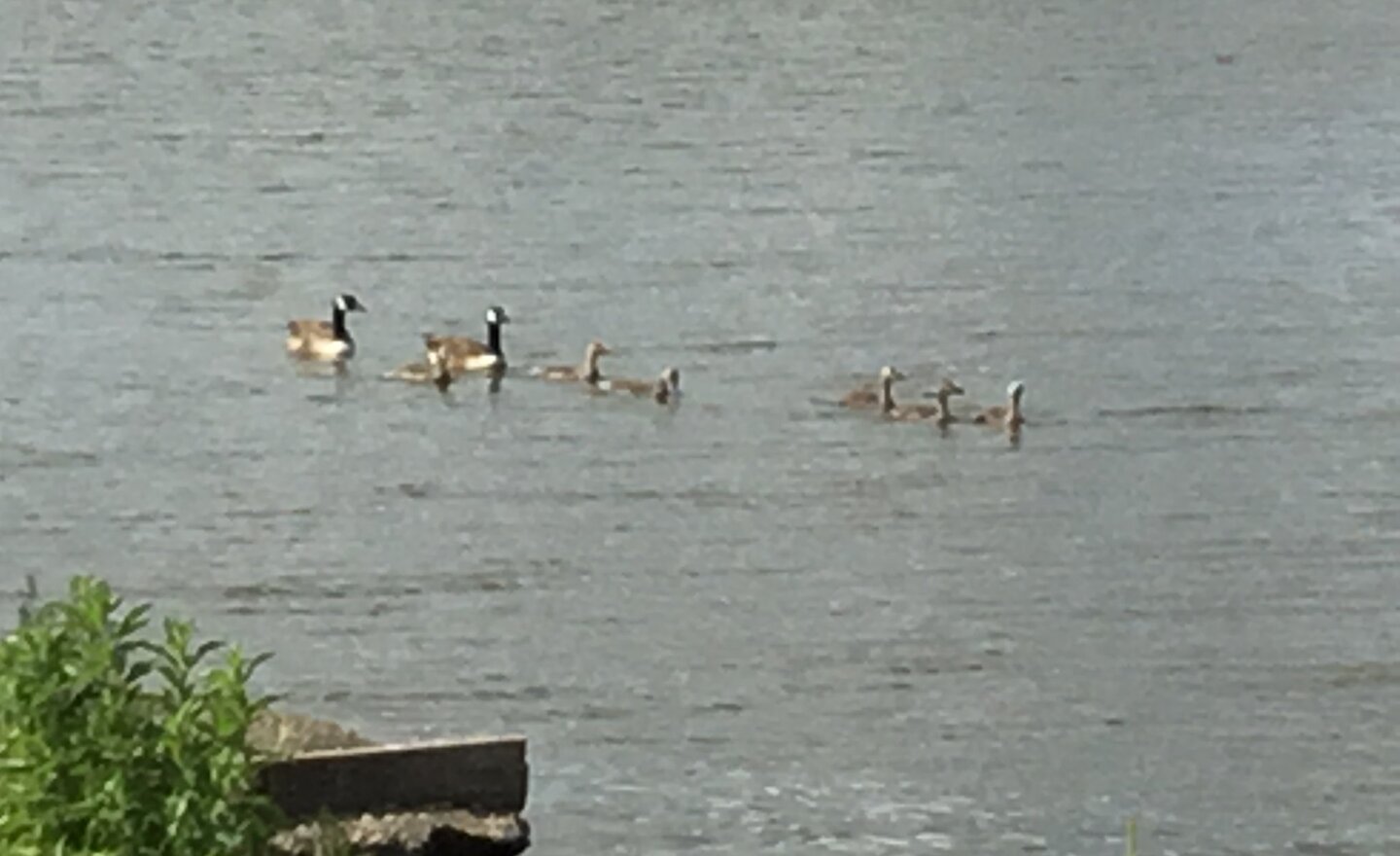 Image of 30/3/20 KS1 additional resources