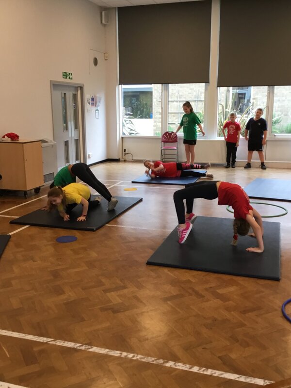 Image of Gymnastics Class 5SG
