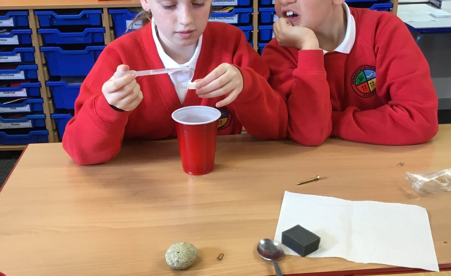 Image of Science in Year 5/6