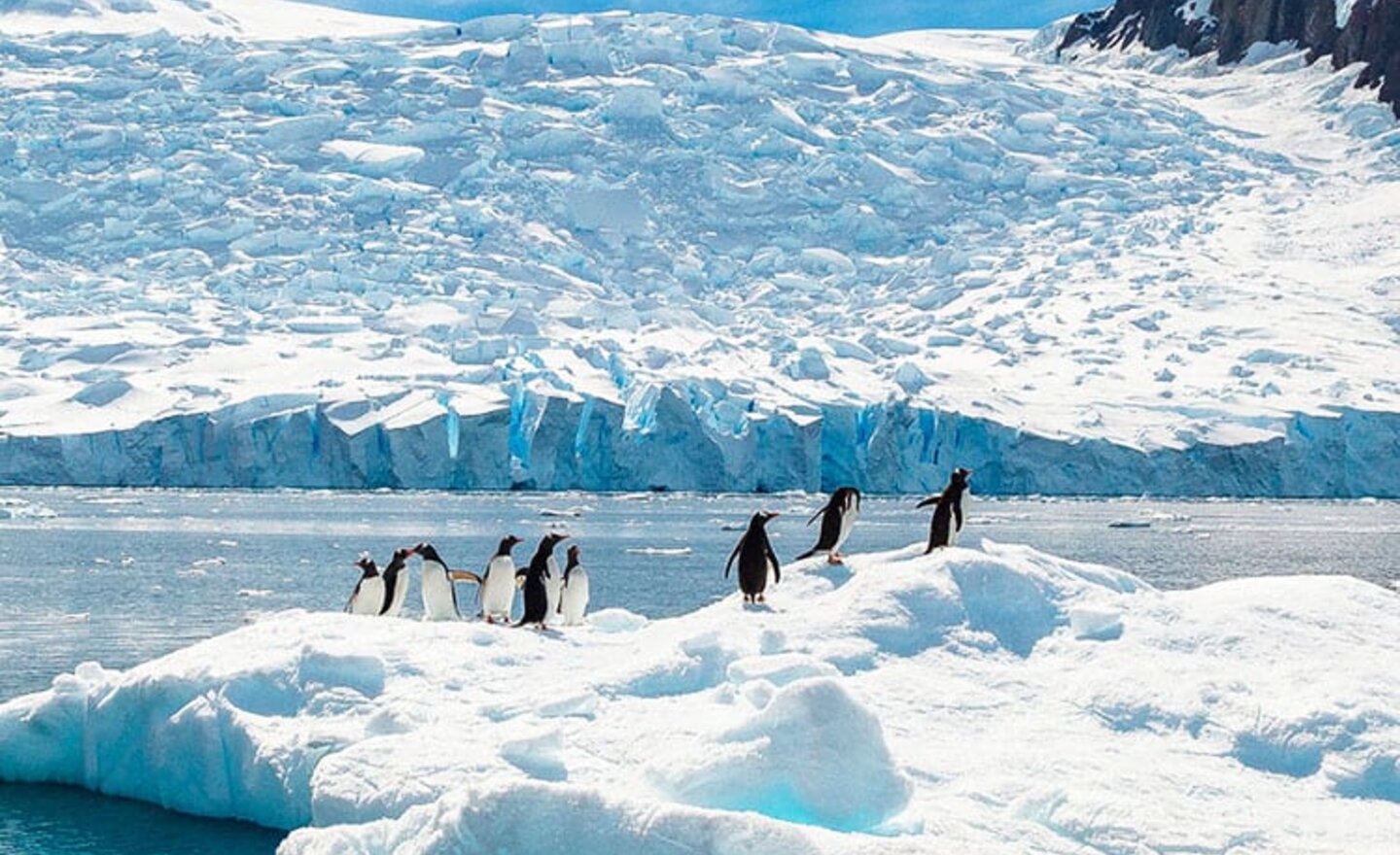 Image of Live Event- Antarctica.
