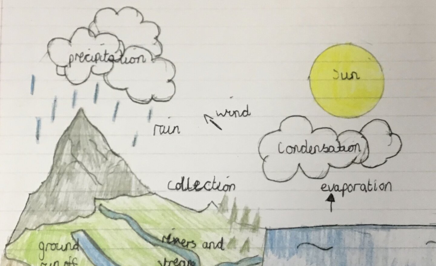 Image of The Water Cycle