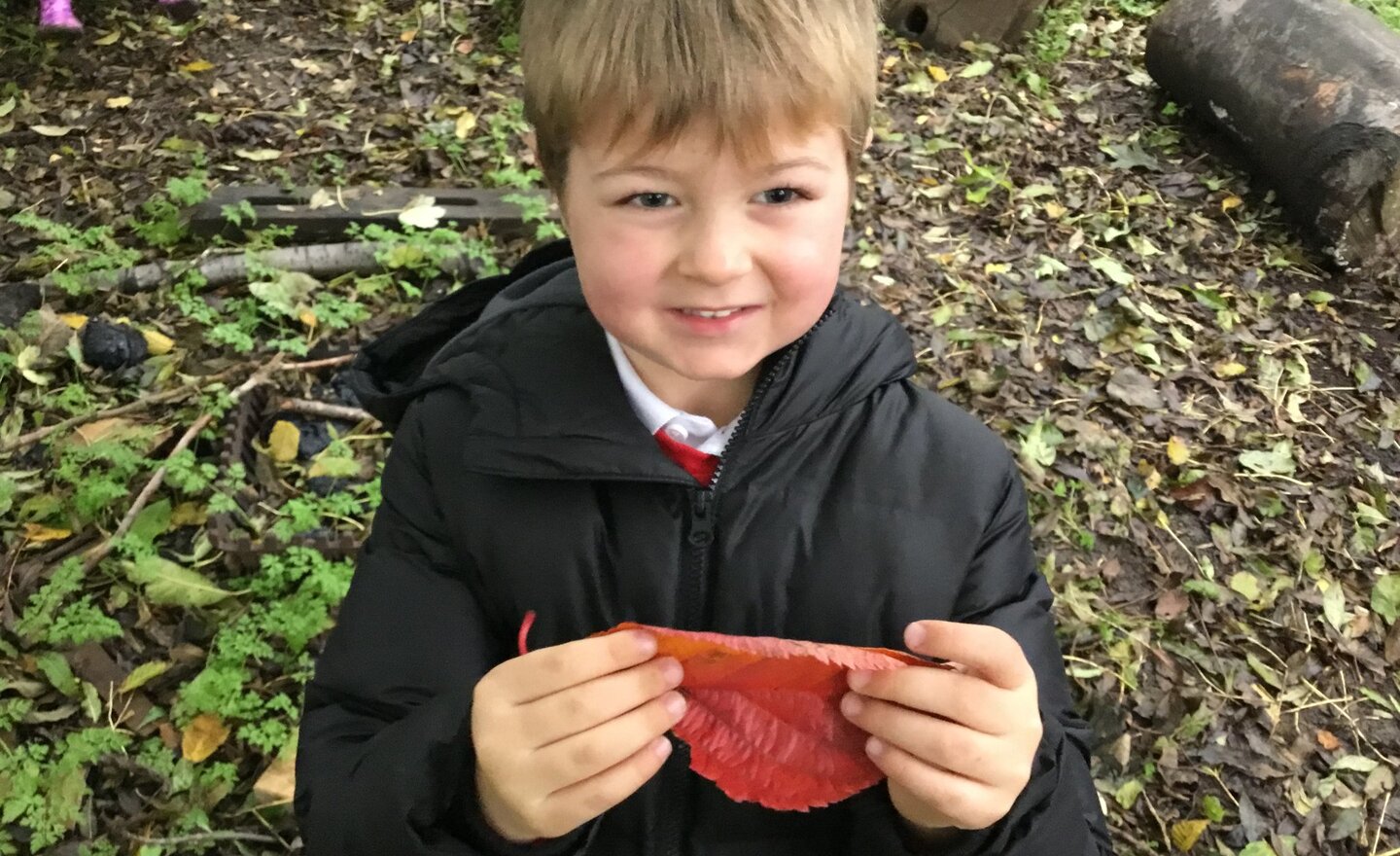 Image of Forest School