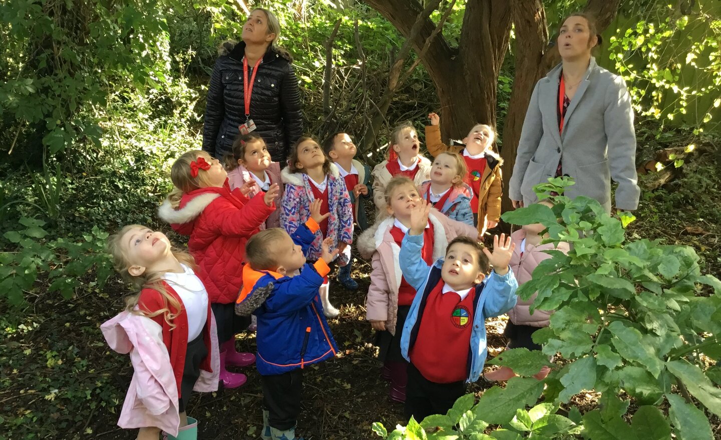 Image of Forest School Fun. 
