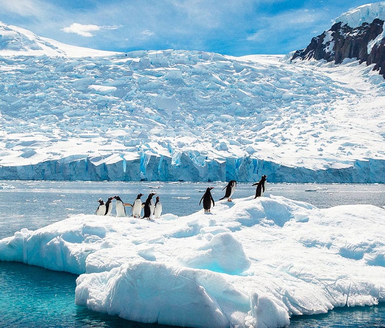 Image of Live Event- Antarctica.