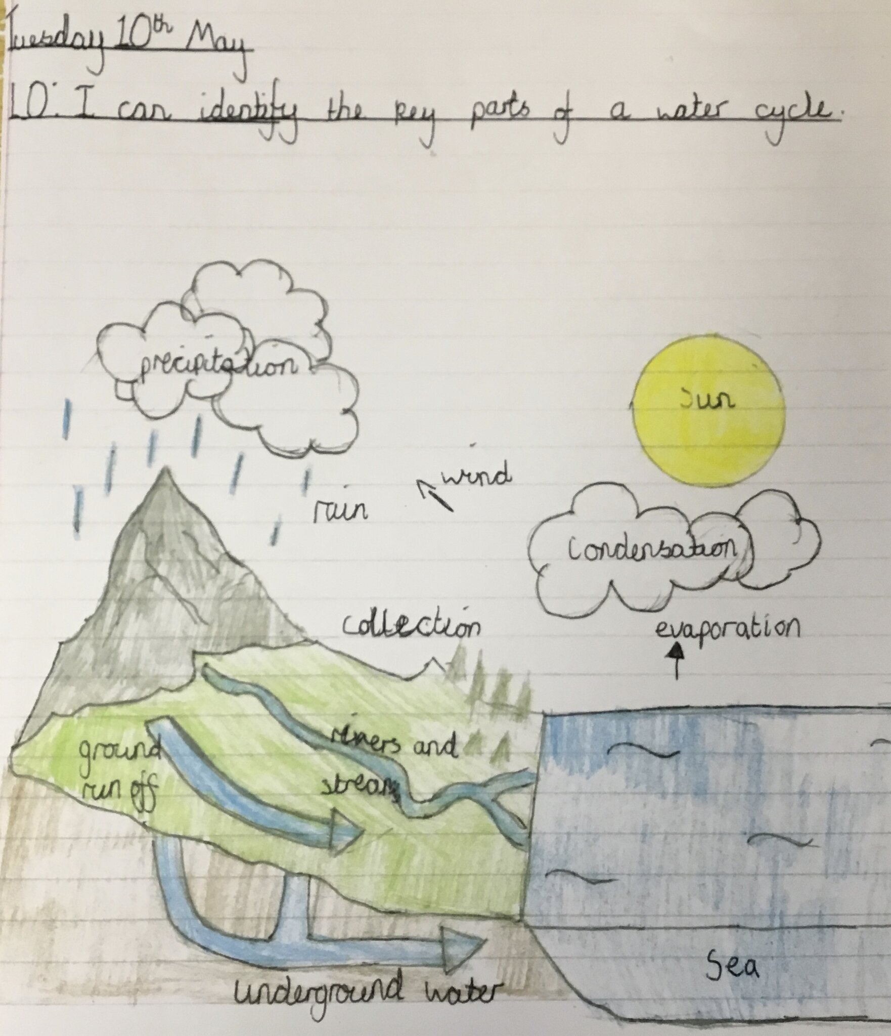 Image of The Water Cycle