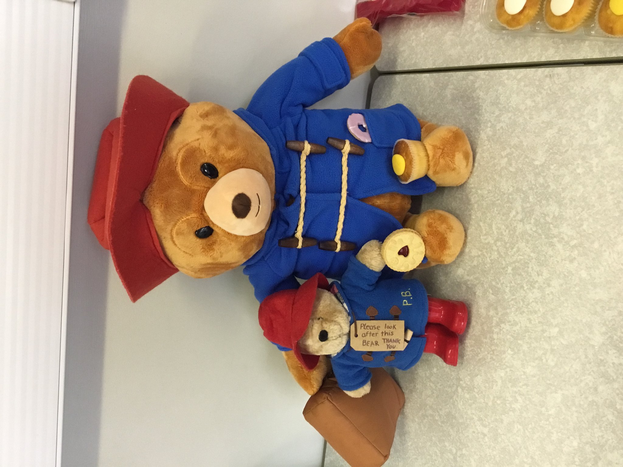 Image of Tea Party with Paddington