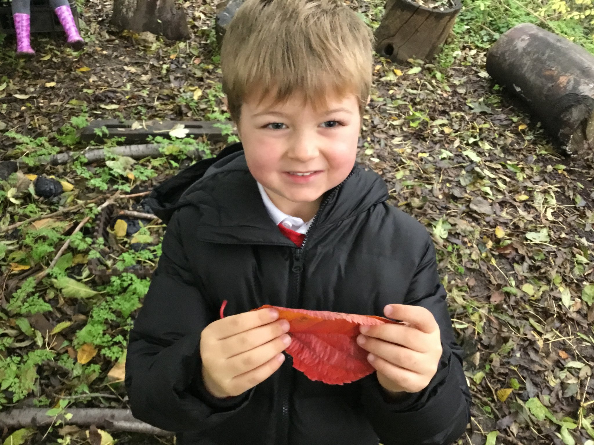 Image of Forest School