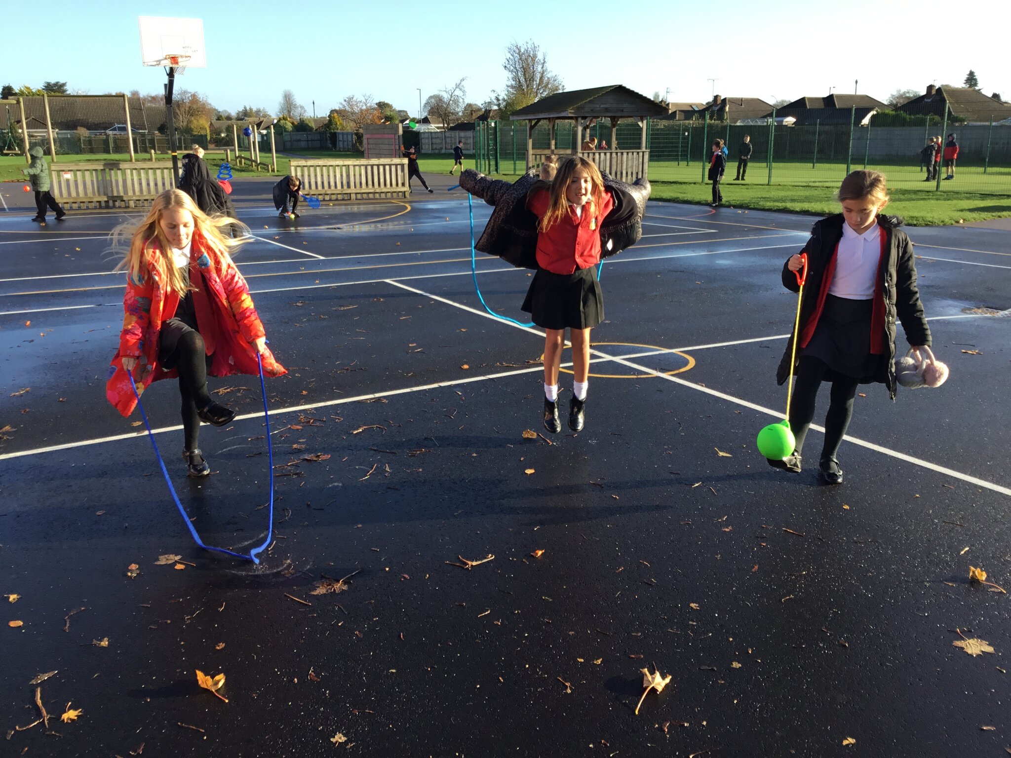 Image of New playground equipment!