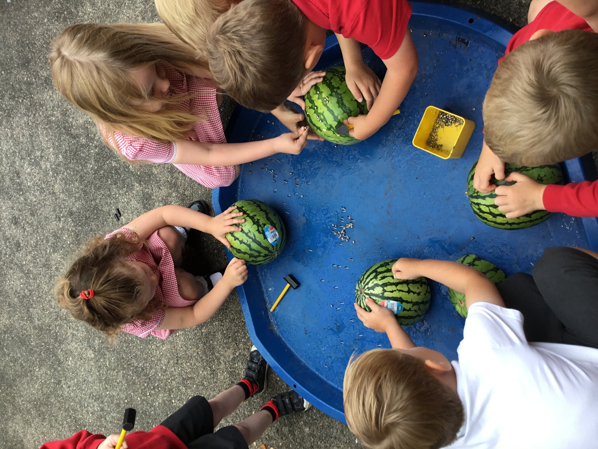 Image of Nursery-Summer themed activities