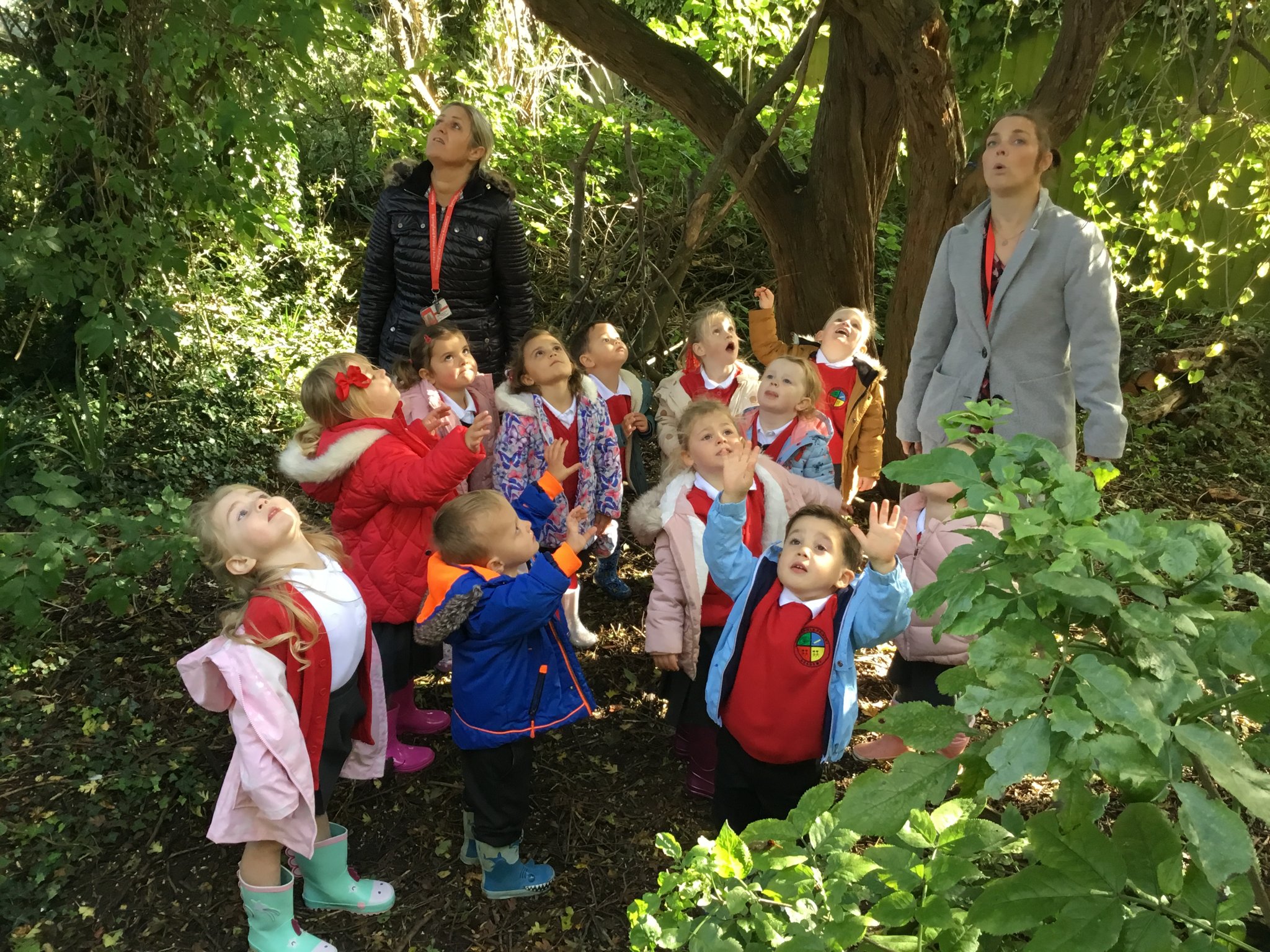 Image of Forest School Fun. 