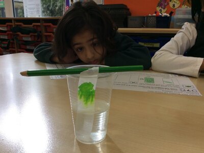 Image of Science Week