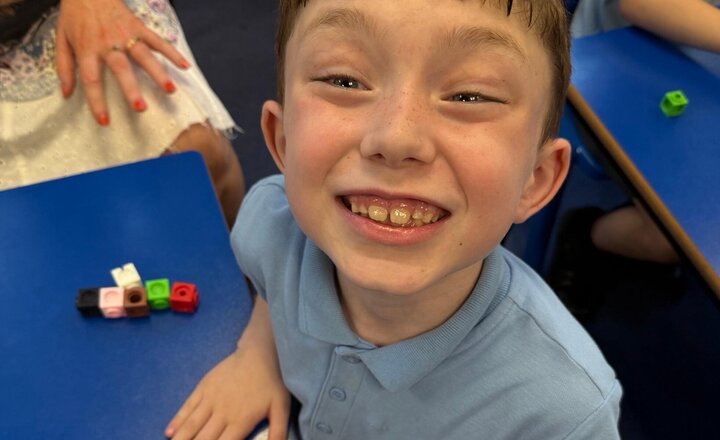 Image of Year two have been making equal groups this afternoon, practising our fluency bee skills.