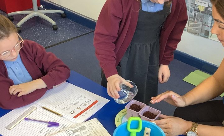 Image of 🌱 Super Scientists in Training!  This afternoon, we started a germination experiment to see what plants need to grow, testing seeds with and without water. The children made fantastic predictions. Keep an eye out for updates over the next few weeks!