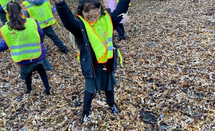 Image of We had lots of fun on our autumn walk!