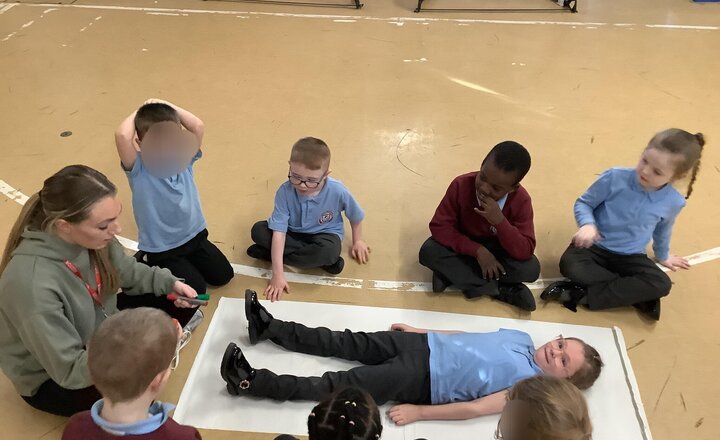 Image of Today in Science, we have started our new topic of Animals including human. We have learnt the names of many different body parts by playing Simon says, and by drawing around each other to label them on paper. It was great fun!