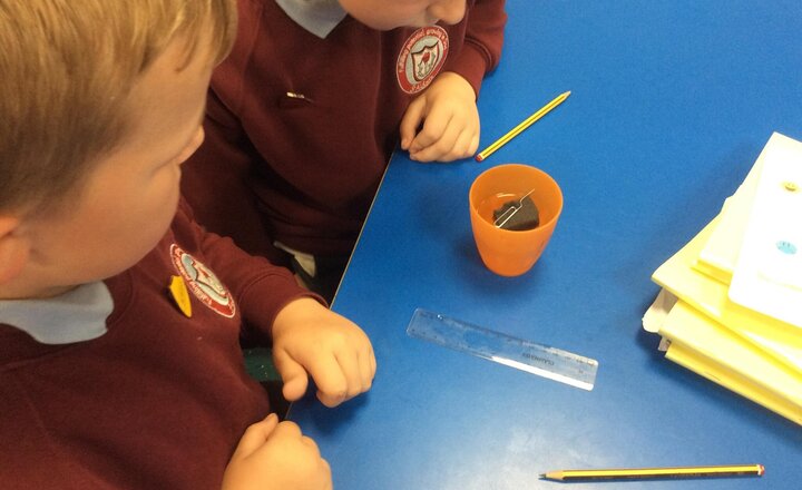 Image of This afternoon in Science, we have made a compass using a magnet, water, sponge and a paper clip.