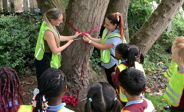 Image of This week in Science, we continued our plant studies by exploring trees. We went on a local walk to examine different parts of trees, measured their trunks, and even made some bark rubbings. It was a great time, and we learned that every tree is unique!