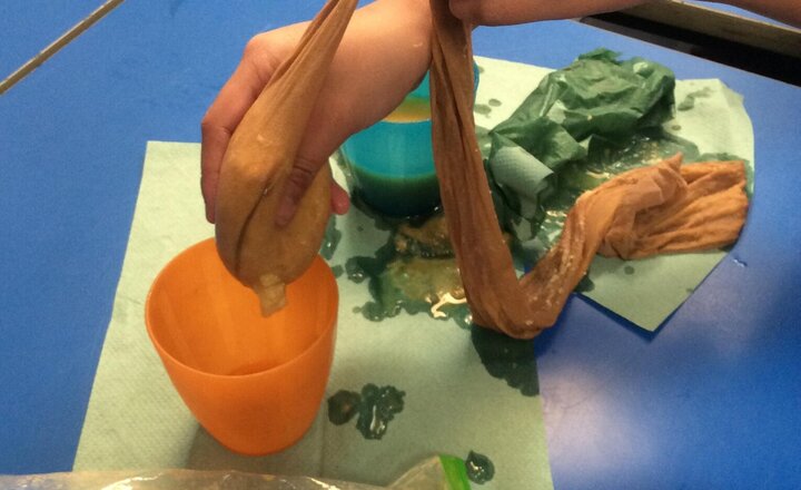 Image of Year 4 scientists got hands-on with the digestive system today! Using tights as intestines, mashed banana as food, crushed biscuit for texture, orange juice as stomach acid, and water, they explored how our bodies turn food into poo!