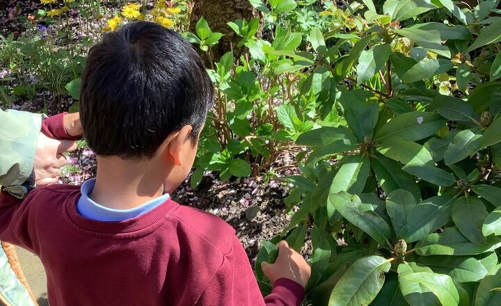 Image of In Science, we are studying plants. After a walk to explore different species, we planted our own seeds and discussed how to care for them. We are excited to observe them over time and see how they grow!