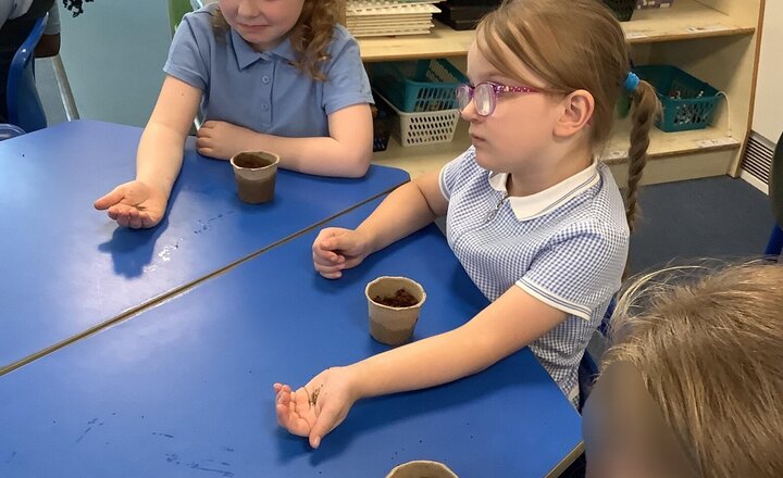 Image of In Science, we have been learning all about Plants! In this weeks lesson, we talked about what plants need to grow and how they start from a seed or a bulb. We then planted our own seeds and are going to look after them and observe the grow over time!