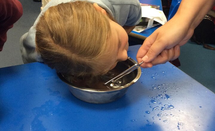 Image of ​Year 4 Science: Exploring Sound and Vibrations with Tuning Forks.