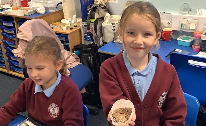 Image of CHOCOLATE ROCKS!!!  Year 3 have spent their science lesson this week creating different types of rocks (Sedimentary, igneous and metamorphic) but made of chocolate. It was a very good afternoon and the rocks tasted fantastic.