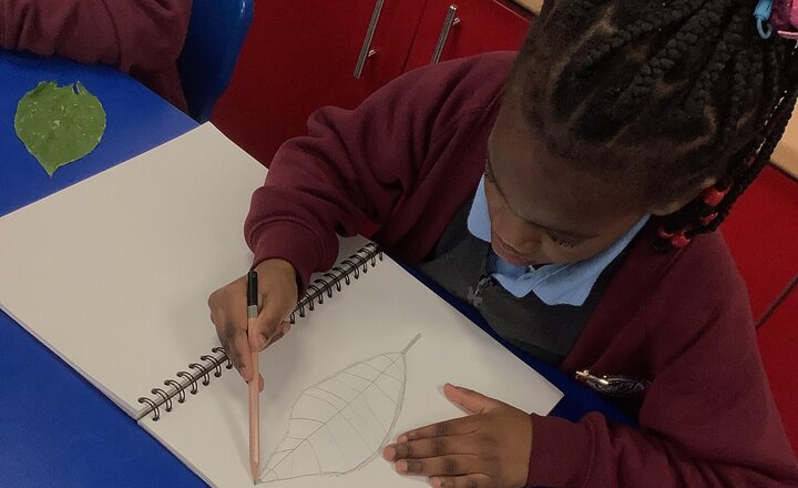 Image of Exploring and Drawing in Art. Today we collected objects from our environment and began creating observational drawings. We then used wax resist techniques inspired by the rich colours of the Autumn leaves.