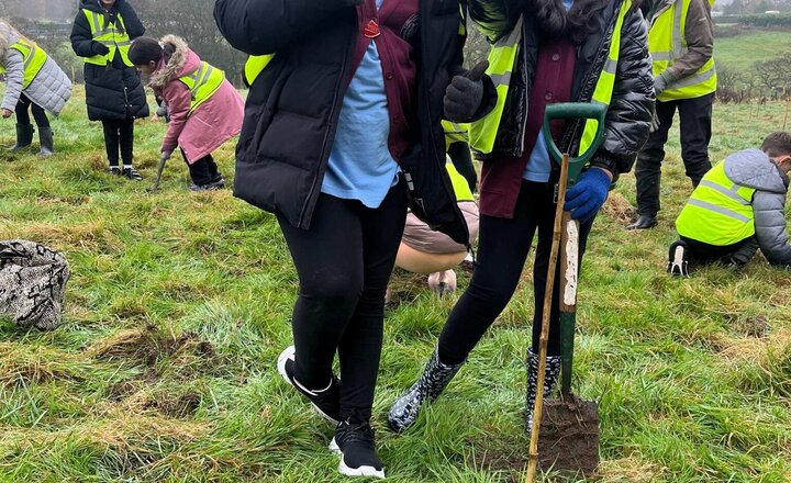 Image of We have had a lovely morning today planting trees in Billington. We worked together in our pairs to dig up the ground and plant small trees. So far there are nearly 2,000 planted but they are aiming for 5,000.