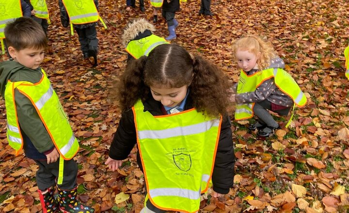Image of We had lots of fun on our autumn walk!