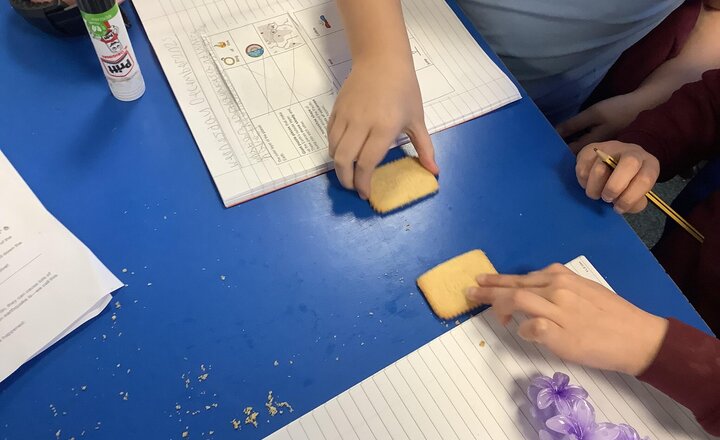 Image of Year 3 have been looking at tectonic plates today and what causes earthquakes. Strangely our tectonic plates tasted like nice biscuits.
