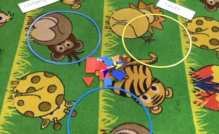 Image of 3D Shapes - Lesson 2: Classification and Sorting. Once we could name our shapes, we began sorting them into groups.