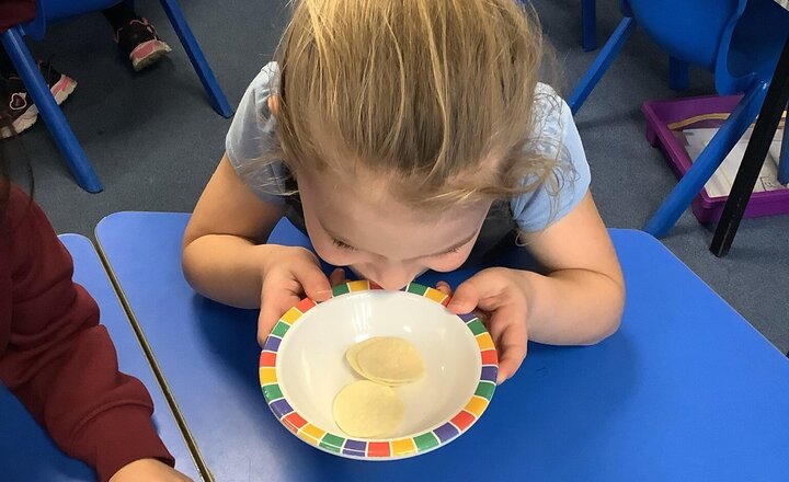 Image of We explored the five senses this week through fun, hands-on activities! It was a fantastic way to bring our human body topic to life.