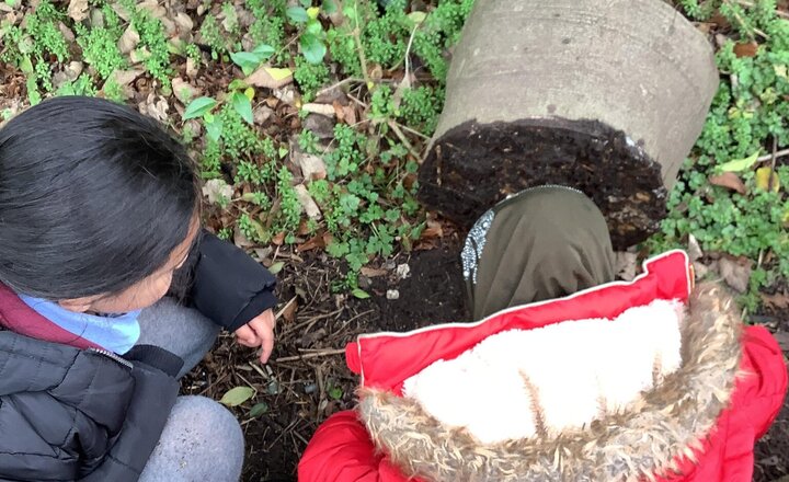 Image of A brilliant week of outdoor learning! From mastering hammers for shape art to hunting for minibeasts in the logs, it’s been wonderful to see the children so engaged with nature and new tools.