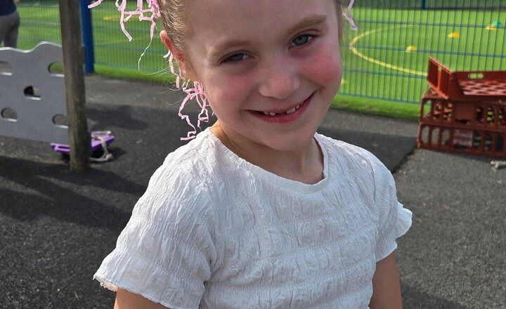 Image of Hair-Raising Fun in the Playground!