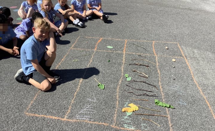 Image of Year 2 took maths outdoors today! We gathered natural resources to build hands-on pictograms, then created tally charts to total up our findings. Super teamwork and superb counting! 🌿