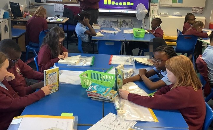 Image of We have started our first class novel, ask your children what can they remember about it.  ( Grimwood )