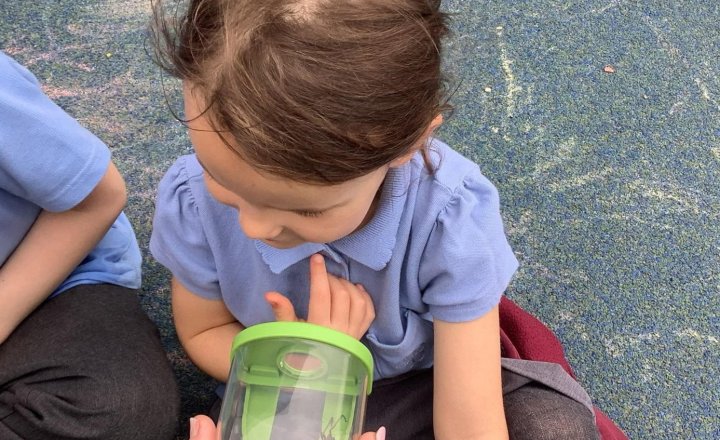 Image of At lunchtime, the children found a spider and wanted to have a closer look! 🤩🕷️