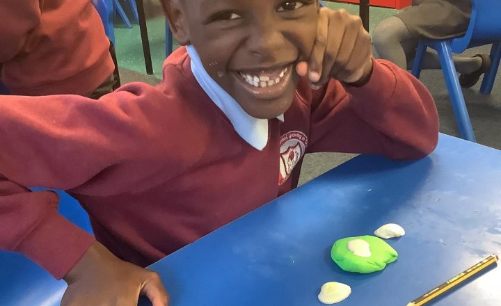 Image of Making fossils in science 🔍