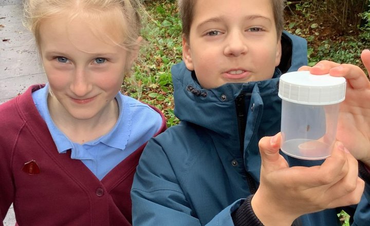 Image of This week’s Farm in a Box session was all about minibeasts and pollinators! We explored our green space to hunt for bugs and discovered how these tiny creatures reveal the health of our soil. Great to see hands-on learning with nature! 🪱