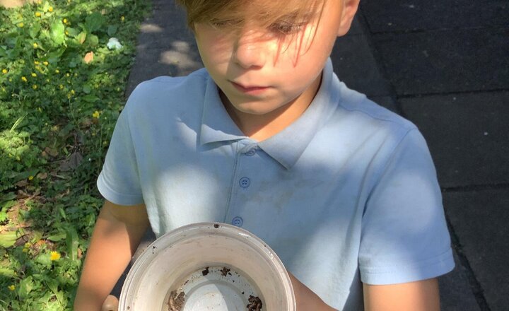 Image of Our first Forest School session was a huge success! We loved exploring our surroundings and discovering all sorts of fascinating insects.