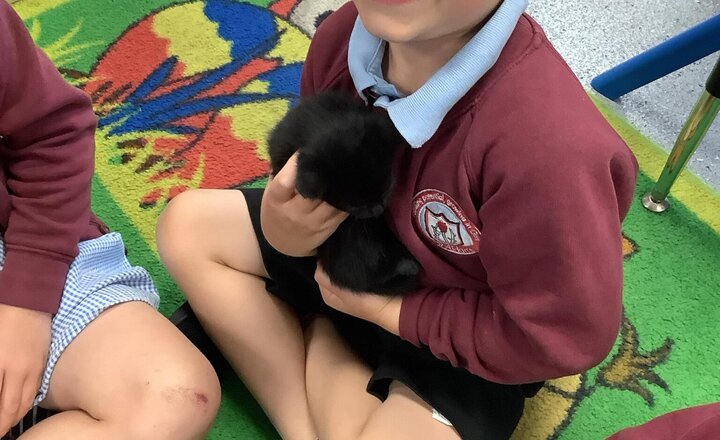 Image of We had some very cute visitors in class today.
