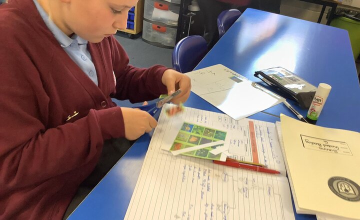 Image of In science, we are using classification keys to sort plants.